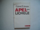 Apel catre lichele - Gabriel Liiceanu