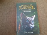 Pisicile Razboinice Vol. 17: Puterea Celor Trei - Umbre Ad&acirc;nci, Carte Copii, Ed. 2015