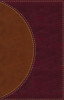 Amplified Reading Bible, Imitation Leather, Brown: A Paragraph-Style Amplified Bible for a Smoother Reading Experience