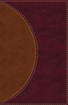 Amplified Reading Bible, Imitation Leather, Brown: A Paragraph-Style Amplified Bible for a Smoother Reading Experience foto