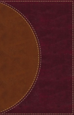 Amplified Reading Bible, Imitation Leather, Brown: A Paragraph-Style Amplified Bible for a Smoother Reading Experience foto