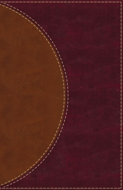 Amplified Reading Bible, Imitation Leather, Brown: A Paragraph-Style Amplified Bible for a Smoother Reading Experience