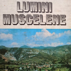 Dumitru Baciu - Lumini Muscelene (1980)