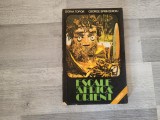 Escale in Africa si Orient de Doina Topor,George Spinteroiu
