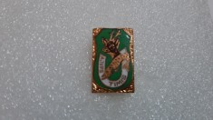 insigna AJVPS Timis