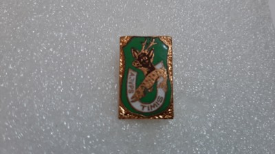 insigna AJVPS Timis foto