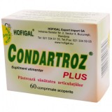 Condartroz Plus Hofigal 60cpr