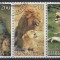 Rusia - Buriatia - FAUNA AFRICANA - LEI - CTO