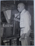 ESTEVE - PEINTURES RECENTES , GALERIE LOUIS CARRE et Cie ., 1990