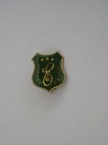 QW9 I 42 - Insigna - tematica turism - Hotel Erbas, Romania de la 1950