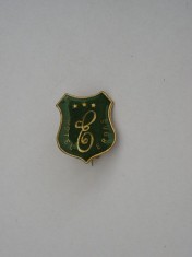 QW9 I 42 - Insigna - tematica turism - Hotel Erbas