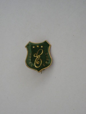 QW9 I 42 - Insigna - tematica turism - Hotel Erbas foto
