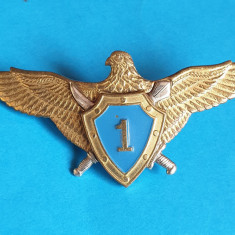 Insigna AVIATIE militara Internationala - Aviator - Pilot clasa 1a