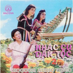 CD # Various &lrm;&ndash; Nhạc Cụ D&acirc;n Tộc Việt Nam 2 -VIETNAM PRESS- (VG++)