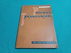 PODIȘUL TRANSILVANIEI / MIRCEA ILIE /1958 *12