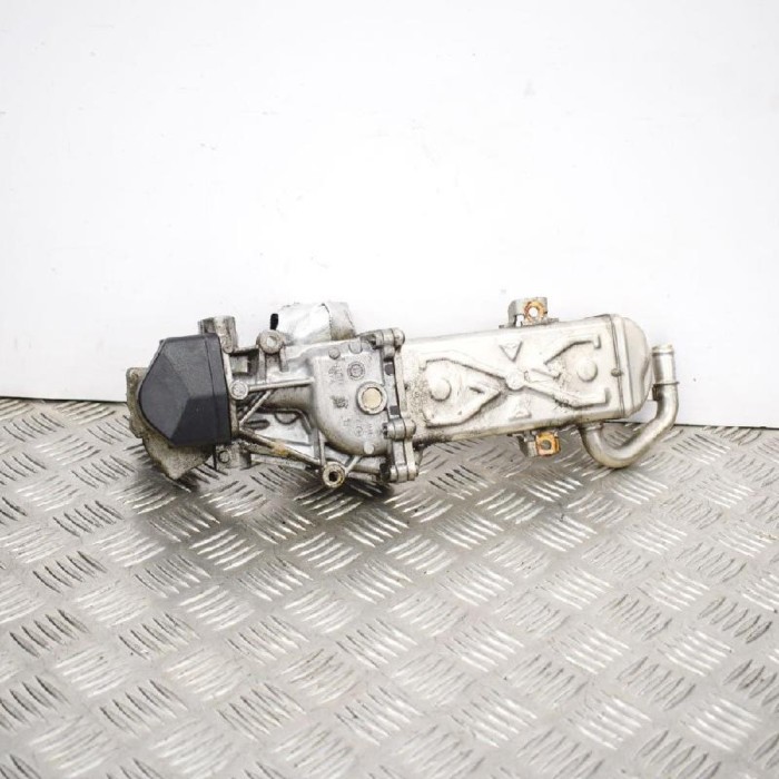 Răcitor EGR VW TIGUAN 5N_ 2012 OEM: 028075101603L131512CH 2537334