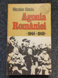 AGONIA ROMANIEI 1944-1948 - Nicolae Baciu