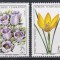 Turcia 1980 - Flori, MNH