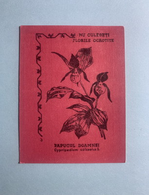 Calendar 1969 flori Papucul Doamnei foto