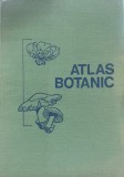Cumpara ieftin Atlas botanic Lucia Popovici, Constanta Moruzi, Ion Toma Editura Didactica Si Pedagogica 1985 215 pagini 24 x 30 cm Cartonate Romana