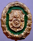 II.196 GERMANIA INSIGNA STICKPIN POMPIERI aurie
