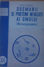 Du?manii ?i prietenii nevazu?i ai omului ( microorganismele ) - St. S. Nicolau foto