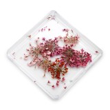 Decor pentru unghii, flori uscate D24