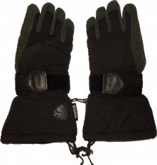 Manusi ski schi ESKA GoreTEX cu protectii (barbati L) cod-557441 foto