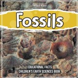 Fossils 4th Grade Educational Facts