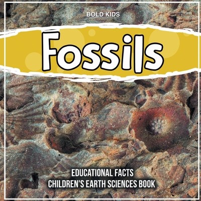Fossils 4th Grade Educational Facts foto