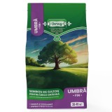 Seminte gazon umbra Versay, 1 kg