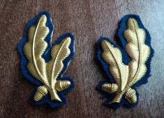 C7 5 - petlite militare - laur mic argintiu bleumarin securitate piesa colectie foto