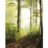 Tapet Marburg decorativ, padure, verde, living, birou, Profi Smart Art Easy, 47221