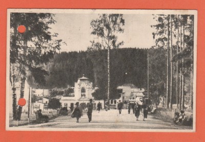 AMS @ - VEDERE/ILUSTRATA VATRA-DORNEI, IN PARC, cu perforari, 1954 foto