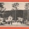 AMS @ - VEDERE/ILUSTRATA VATRA-DORNEI, IN PARC, cu perforari, 1954