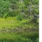 Tahsis Inlet Outlet Revival Anthology 2020 Black and white Edition: Green Antler presents 2020 collected works