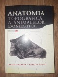 Anatomia topografica a animalelor domestice- Vasile Cotofan, Gabriel Predoi