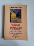 Cumpara ieftin Tiberiu Cercel, Provincia melancoliei. Arad - Timisoara -Paris -Targoviste, 2007