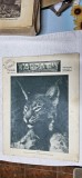 Cumpara ieftin REVISTA VANATORILOR ANUL 1937 LUNA NOIEMBRIE