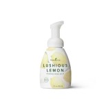 Sapun lichid pentru maini (Lushious Lemon Foaming Hand Soap)