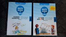 ALGEBRA GEOMETRIE CLASA A VIII A - ANTON NEGRILA ,MATE 2000 PARALELA 45