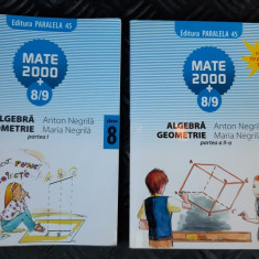 ALGEBRA GEOMETRIE CLASA A VIII A - ANTON NEGRILA ,MATE 2000 PARALELA 45