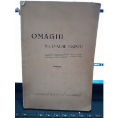 Omagiu Prof. Enache Ionescu