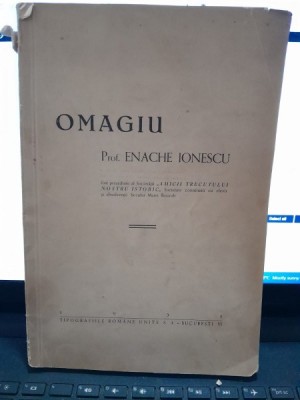 Omagiu Prof. Enache Ionescu foto