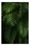 Tablou Canvas, "Verdetul tropical ascunz&acirc;nd secretele junglei", Frunze, Verzi, Tropicale, Luxuriante, Naturale, Vii, Texturate, Dense, Relaxante, Eleg