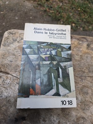 Dans le labyrinthe - Alain Robbe-Grillet foto