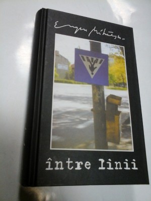 INTRE LINII - EUGEN MIHAESCU foto