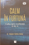 Calm in furtuna Calea spre rezilienta zi de zi