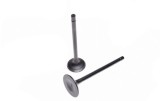 Set Supape, Motor 162FMJ Cod Produs: MX_NEW FM0066