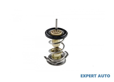 Termostat Land Rover Range Rover 3 (2002-2012)[L322] #1 foto